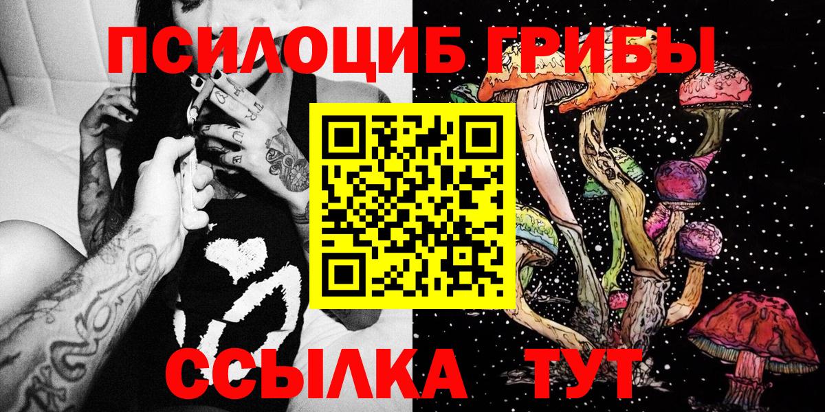 Галлюциногенные грибы Psilocybine cubensis Кинель