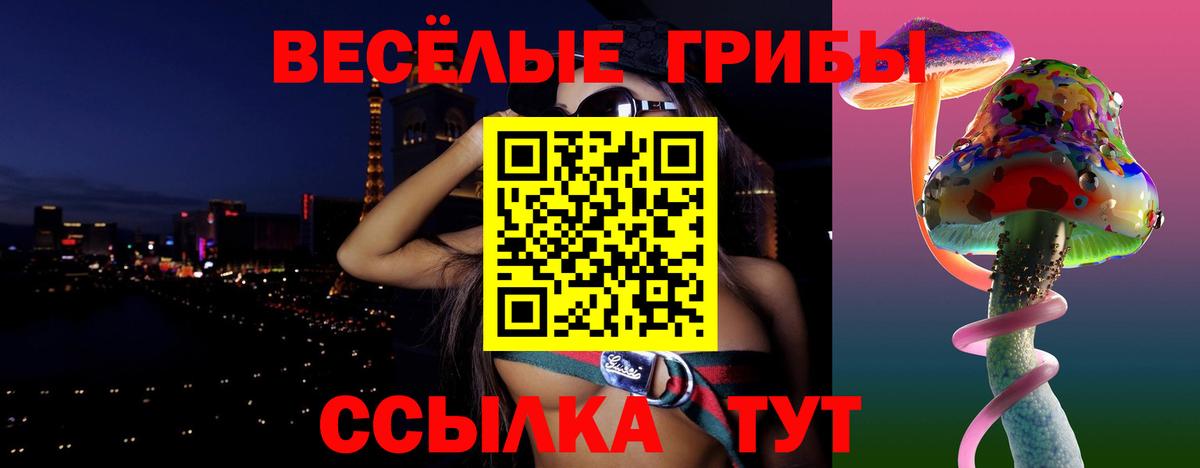 Псилоцибиновые грибы прущие грибы  Вход с VPN  Кинель  Псилоцибиновые грибы мицелий 
